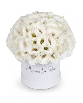 קופסאת פרחים לבן