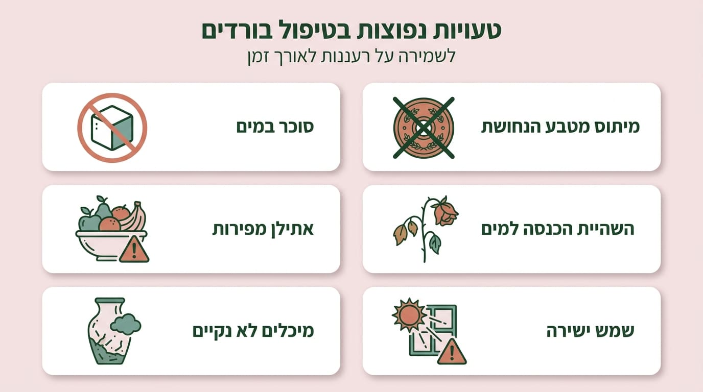 טעויות נפוצות בשימור ורדים שכדאי להימנע מהן