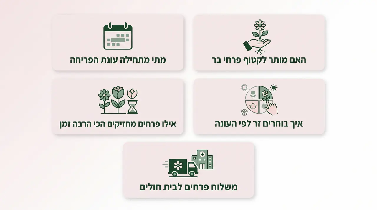 שאלות נפוצות על פרחים עונתיים