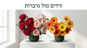 ורדים מול גרברות מה ההבדל: מדריך השוואה מקיף של גאיה פרחים